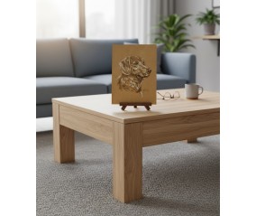 Quadro Cane