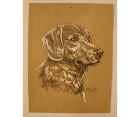 Quadro Cane