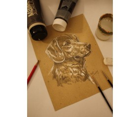 Quadro Cane