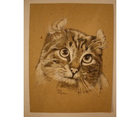 Quadro Gatto